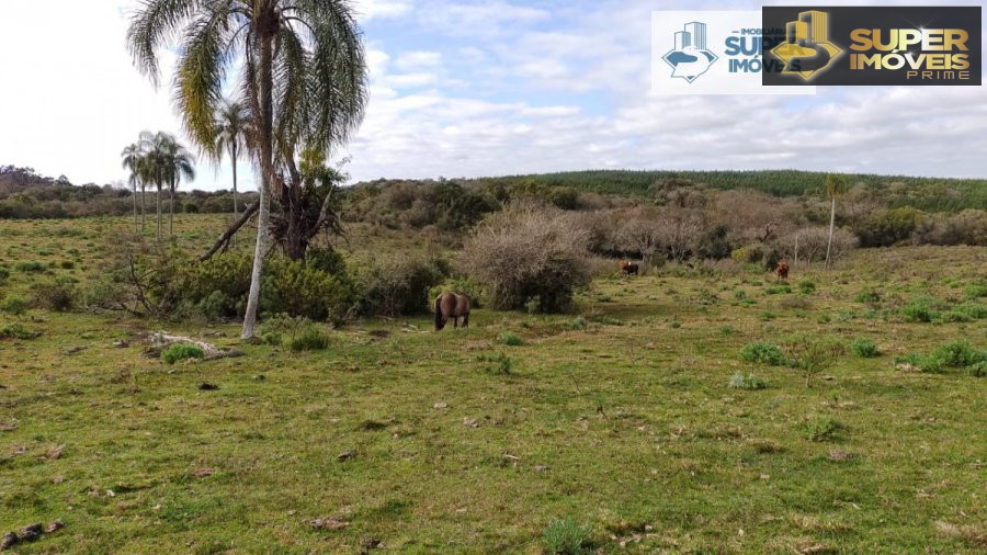 Fazenda/sítio/chácara/haras à venda  no Centro - Cangucu, RS. Imóveis