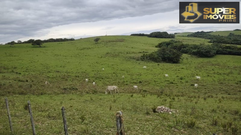 Fazenda/sítio/chácara/haras à venda  no Zona Rural - Santana da Boa Vista, RS. Imóveis