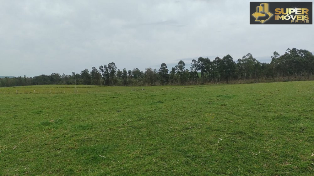 Fazenda/sítio/chácara/haras à venda  no Zona Rural - Cangucu, RS. Imóveis