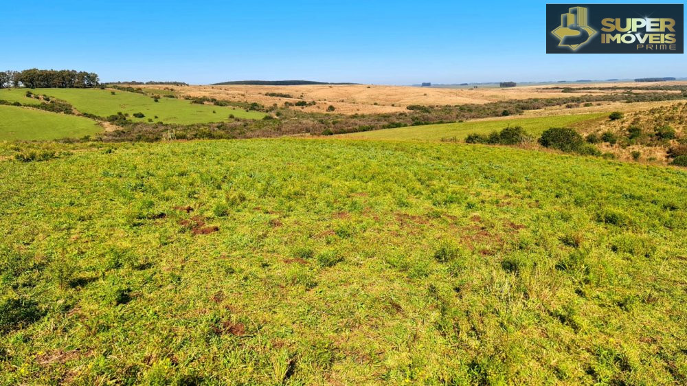 Fazenda/Sítios/Chácaras de 1880000m² no bairro Área Rural de Bagé, em Bagé | Eu Corretor