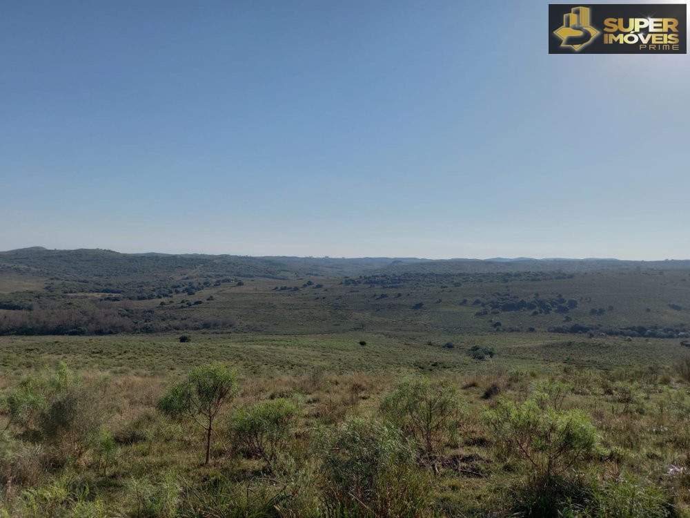 Fazenda/sítio/chácara/haras à venda  no Torrinhas - Pinheiro Machado, RS. Imóveis