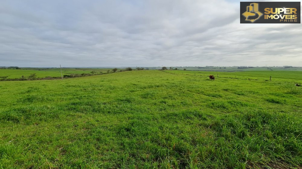 Fazenda/Sítios/Chácaras de 3 quartos, 2000000m² no bairro Colônia Nova, em Aceguá | Eu Corretor