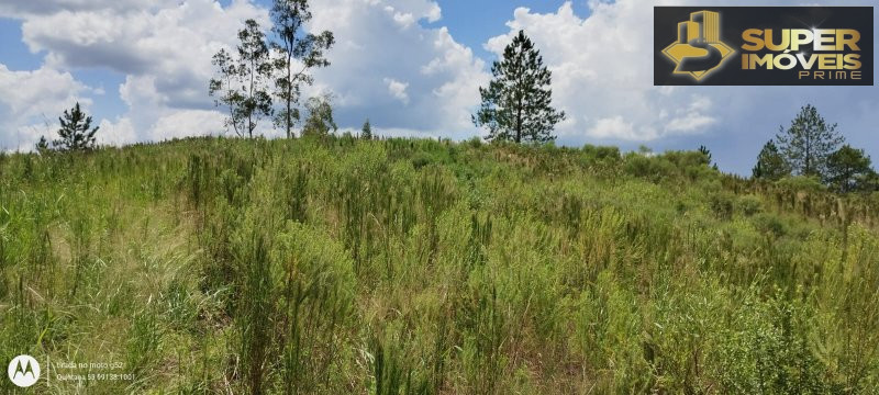 Fazenda/Sítios/Chácaras de 4 quartos, 150000m² no bairro Zona Rural, em Morro Redondo | Eu Corretor