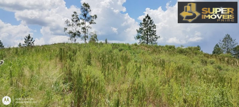 Fazenda/Sítios/Chácaras de 4 quartos, 150000m² no bairro Zona Rural, em Morro Redondo | Eu Corretor