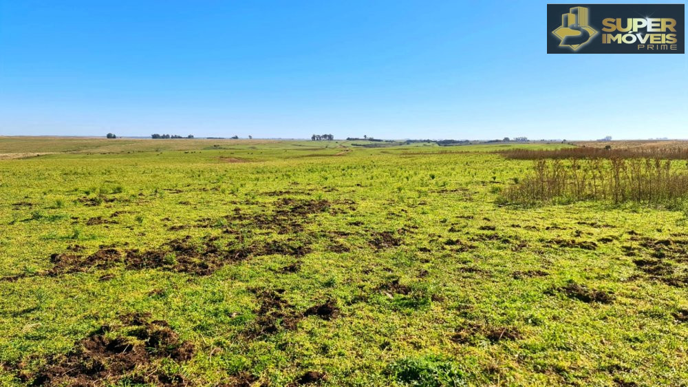 Fazenda/Sítios/Chácaras de 1880000m² no bairro Área Rural de Bagé, em Bagé | Eu Corretor