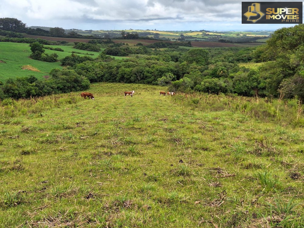 Fazenda/Sítios/Chácaras de 210000m² no bairro Zona Rural, em Morro Redondo | Eu Corretor