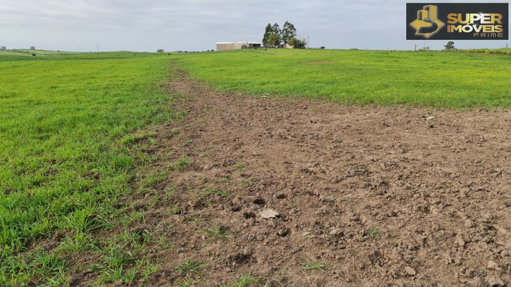 Fazenda/Sítios/Chácaras de 3 quartos, 2000000m² no bairro Colônia Nova, em Aceguá | Eu Corretor