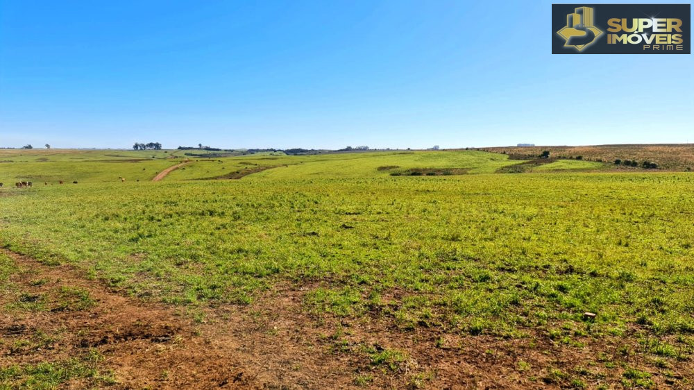 Fazenda/sítio/chácara/haras à venda  no Área Rural de Bagé - Bagé, RS. Imóveis