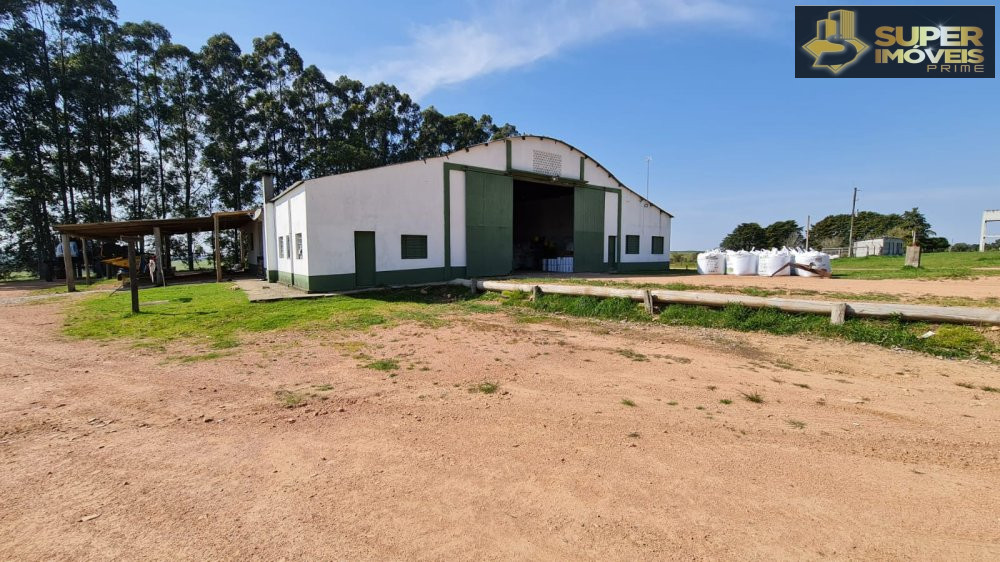 Fazenda/sítio/chácara/haras à venda  no Centro - Pedras Altas, RS. Imóveis