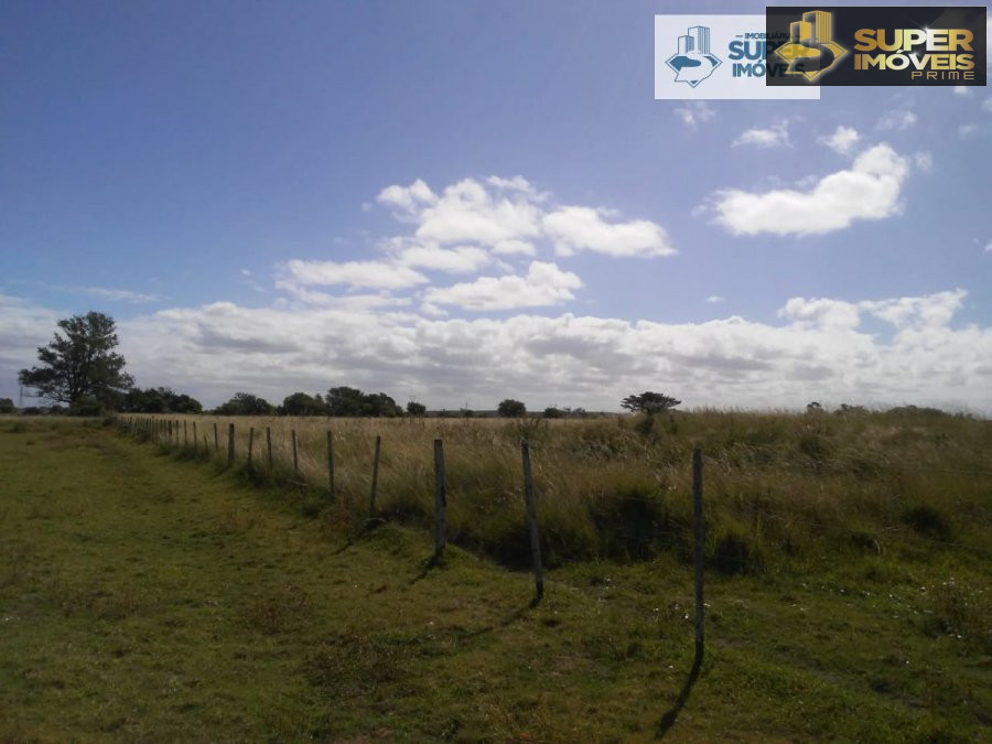 Fazenda/sítio/chácara/haras à venda  no Quinta - Rio Grande, RS. Imóveis