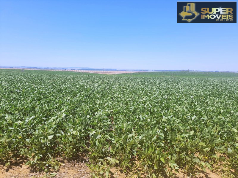 Fazenda/Sítios/Chácaras de 3 quartos, 21000000m² no bairro Área Rural de Cachoeira do Sul, em Cachoeira do Sul | Eu Corretor