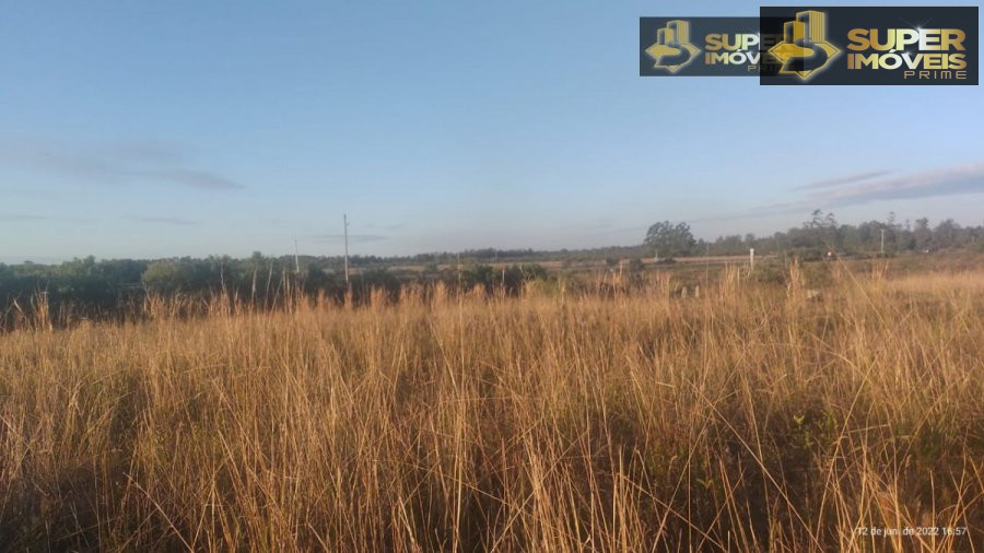 Fazenda/sítio/chácara/haras à venda  no Fragata - Pelotas, RS. Imóveis