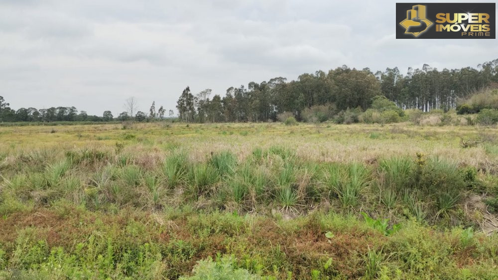 Chácara de 20000m² no bairro Fragata, em Pelotas | Eu Corretor