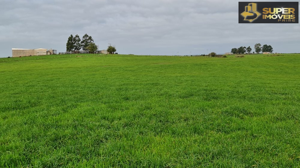 Fazenda/Sítios/Chácaras de 3 quartos, 2000000m² no bairro Colônia Nova, em Aceguá | Eu Corretor
