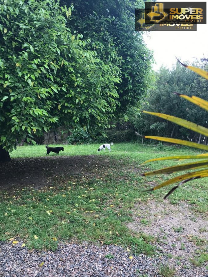 Terreno/Lote  venda  no So Gonalo - Pelotas, RS. Imveis