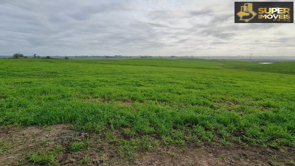 Fazenda/Sítios/Chácaras de 3 quartos, 2000000m² no bairro Colônia Nova, em Aceguá | Eu Corretor