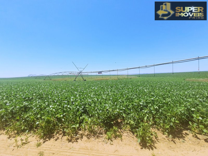 Fazenda/Sítios/Chácaras de 3 quartos, 21000000m² no bairro Área Rural de Cachoeira do Sul, em Cachoeira do Sul | Eu Corretor