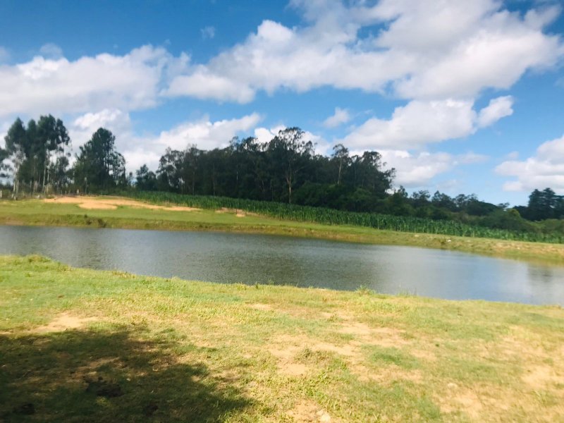 Stio - Venda - Monte Bonito - Pelotas - RS