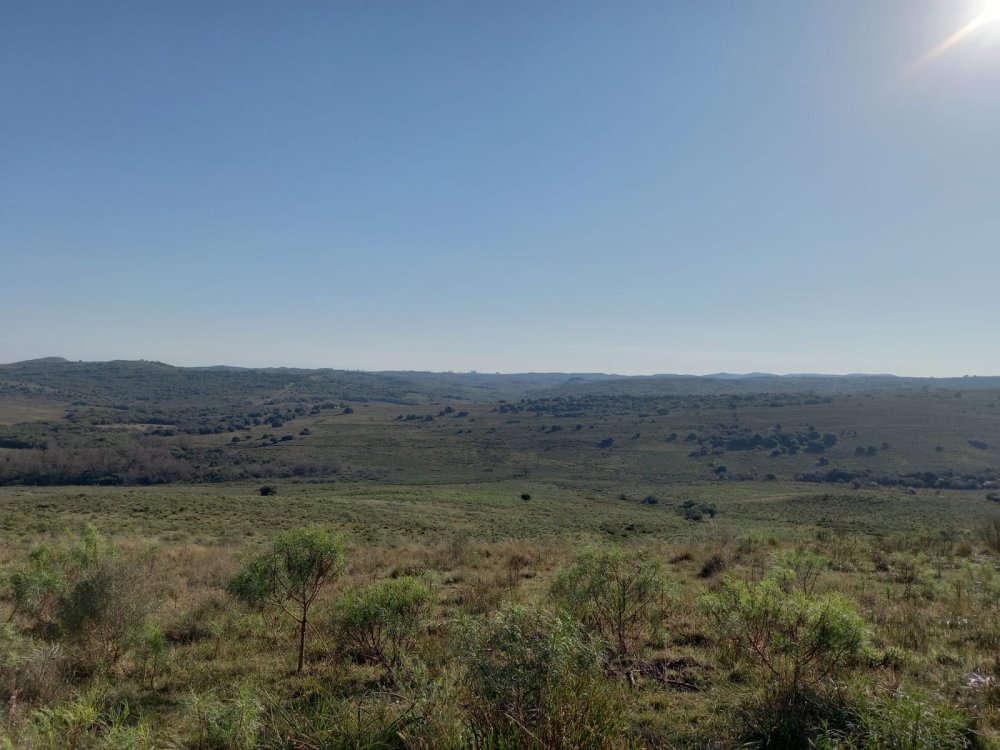 Fazenda em Torrinhas RS