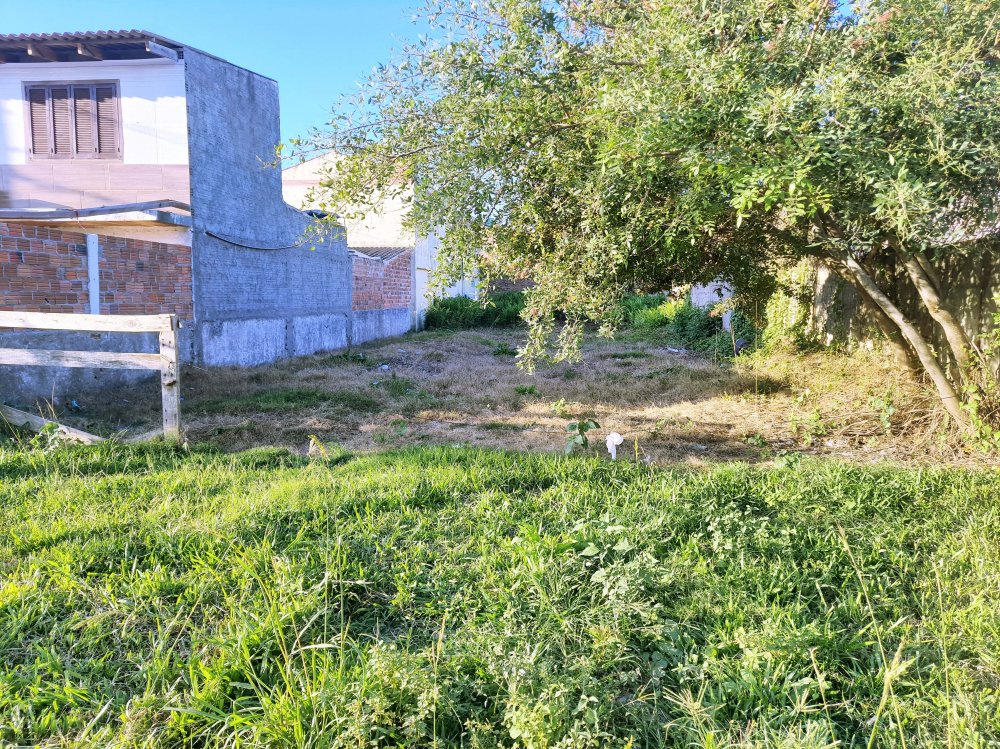 Lote / Terreno