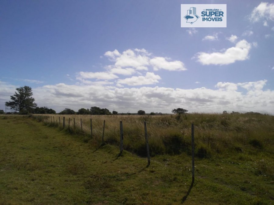 Fazenda - Venda - Quinta - Rio Grande - RS