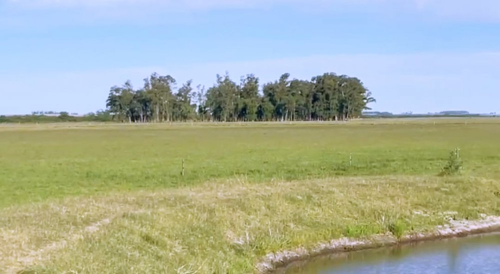 Fazenda no Uruguai