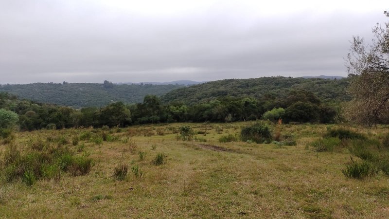 Fazenda - Venda - Centro - Canguu - RS