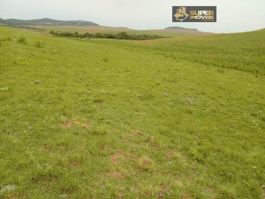 Fazenda - Venda - Centro - Alegrete - RS