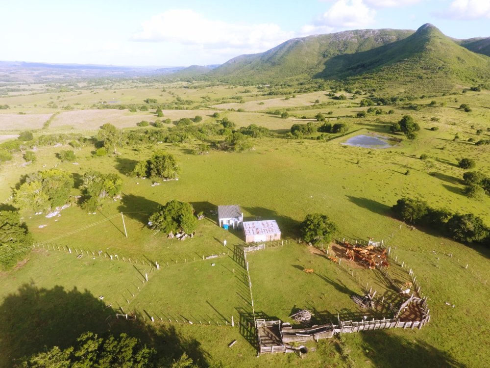 Fazenda - Venda - Centro - Herval - RS