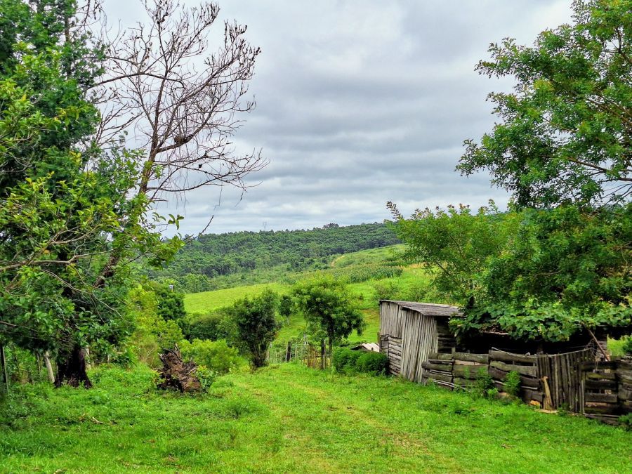 Chácara - Venda - Zona Rural - Pelotas - RS