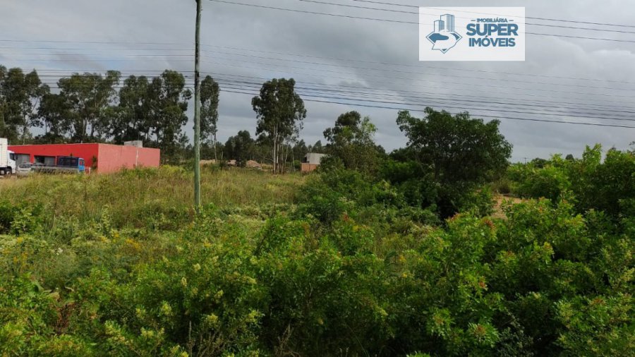 Terreno - Venda - Centro - Capão do Leão - RS